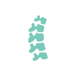 An icon of a spine